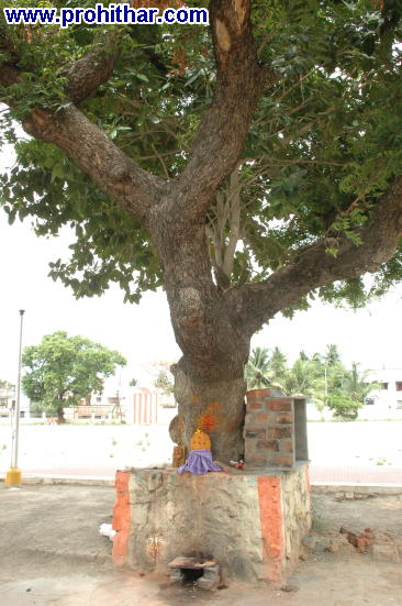 பழைய கோவில் கட்டிடம் இடித்தல் Demolish